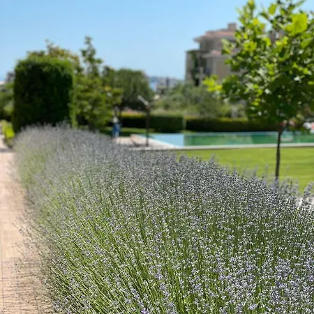 Provence Deluxe In Atia Apartment *